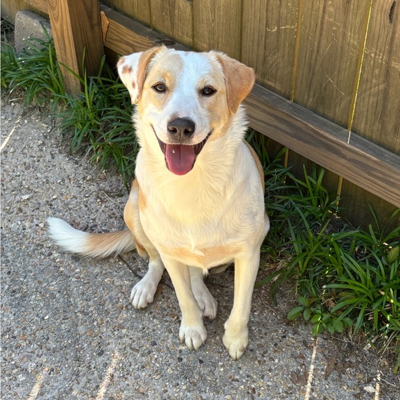 Meet your Posher, Sherri - Picture 7 of 8